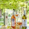 Ferienwohnungen direkt in Bardolino/ganz nah am Gardasee