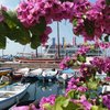 Ferienwohnungen direkt in Bardolino/ganz nah am Gardasee