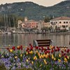 Ferienwohnungen direkt in Bardolino/ganz nah am Gardasee